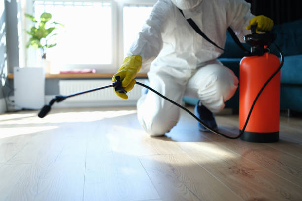 Reliable Blood Cleanup contractor in Lucerne, CA by Crime Scene Cleaner Online